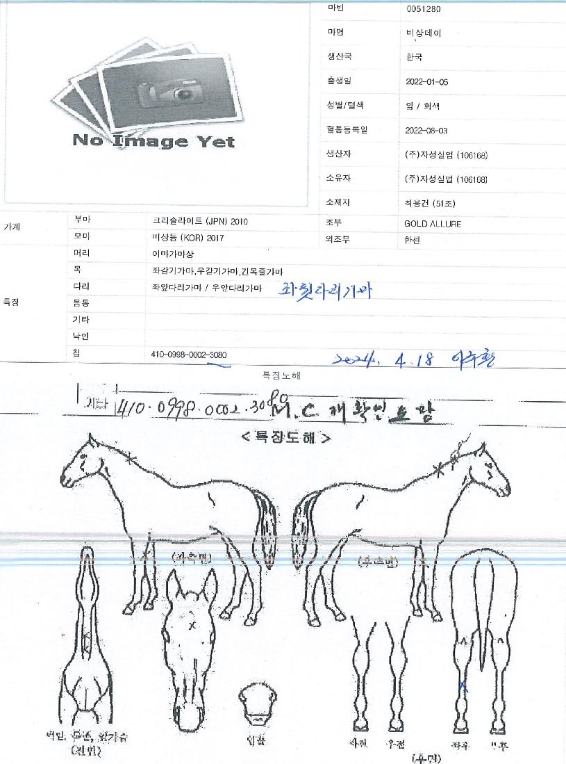 ������� ����,���,�޸�,�λ�,�ٸ��� Ư¡����