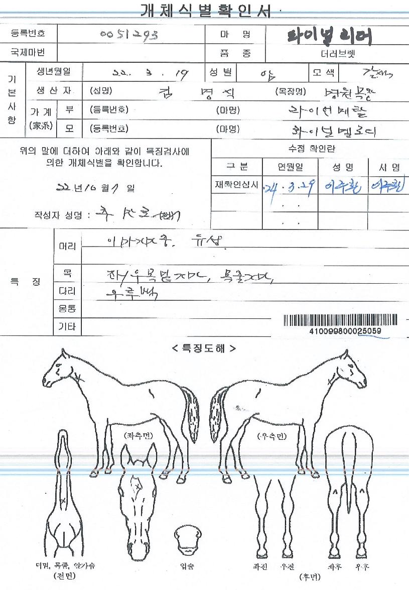 ÆÄÀ̳θ®´õÀÇ Ãø¸é,¿ì¸é,µÞ¸é,µÎ»ó,´Ù¸®ÀÇ Æ¯Â¡µµÇØ