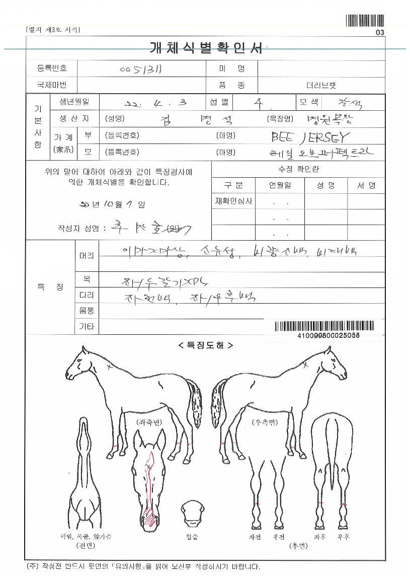 ¹ú±³ÆÛÆåÆ®ÀÇ Ãø¸é,¿ì¸é,µÞ¸é,µÎ»ó,´Ù¸®ÀÇ Æ¯Â¡µµÇØ