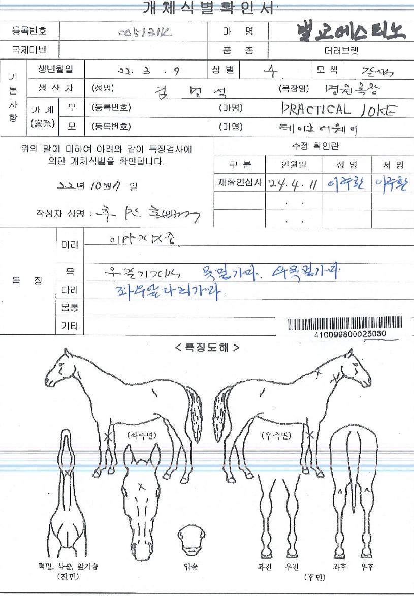 ¹ú±³µ¥½ºÆ¼³ëÀÇ Ãø¸é,¿ì¸é,µÞ¸é,µÎ»ó,´Ù¸®ÀÇ Æ¯Â¡µµÇØ