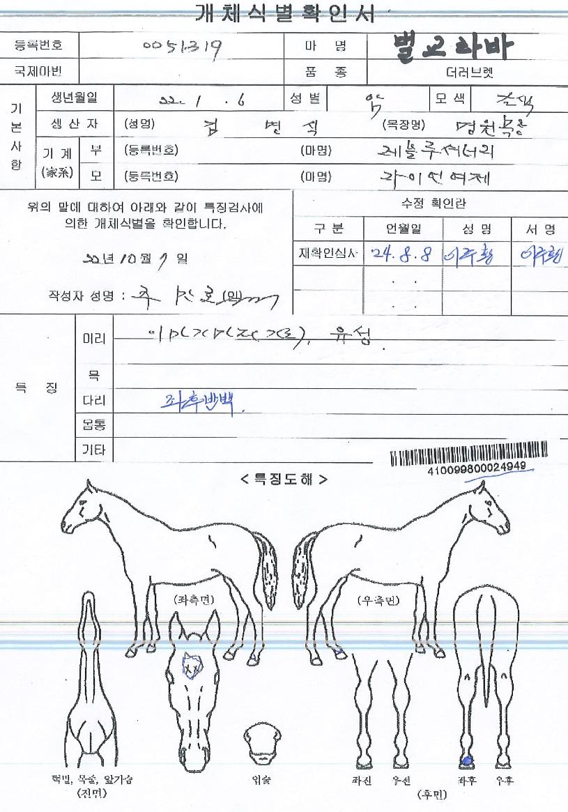 ¹ú±³¶ó¹ÙÀÇ Ãø¸é,¿ì¸é,µÞ¸é,µÎ»ó,´Ù¸®ÀÇ Æ¯Â¡µµÇØ