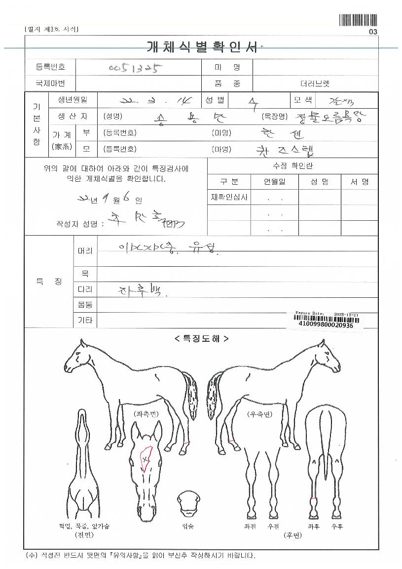 ¸®Ä¡Æ®¸®ÀÇ Ãø¸é,¿ì¸é,µÞ¸é,µÎ»ó,´Ù¸®ÀÇ Æ¯Â¡µµÇØ