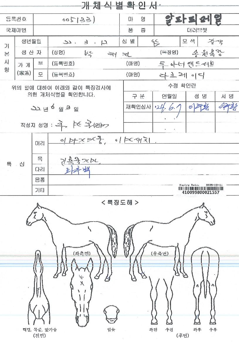 ¾ËÆÄÇǸÞÀÏÀÇ Ãø¸é,¿ì¸é,µÞ¸é,µÎ»ó,´Ù¸®ÀÇ Æ¯Â¡µµÇØ