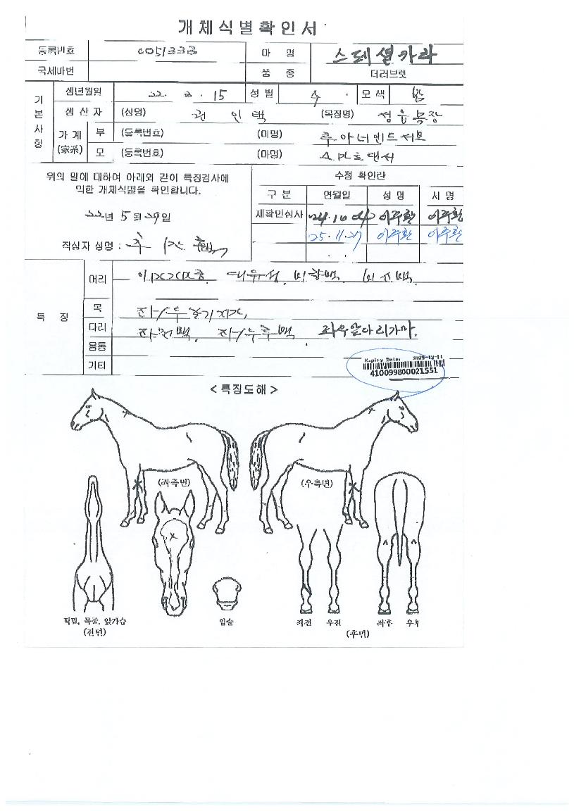 ½ºÆä¼ÈÄ«¶óÀÇ Ãø¸é,¿ì¸é,µÞ¸é,µÎ»ó,´Ù¸®ÀÇ Æ¯Â¡µµÇØ