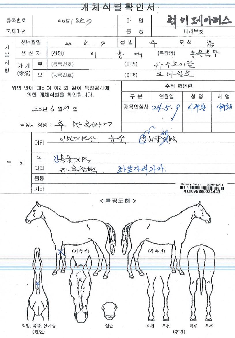 ·°Å°ÆäÀ̸ӽºÀÇ Ãø¸é,¿ì¸é,µÞ¸é,µÎ»ó,´Ù¸®ÀÇ Æ¯Â¡µµÇØ