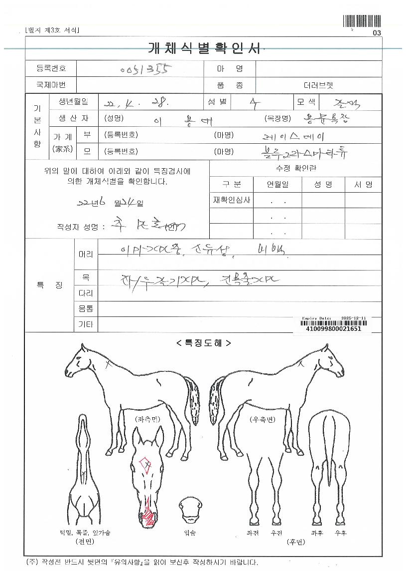 ºí·ç±×¶ó½º¾ÆÅ¸Æ©ÀÚ¸¶ÀÇ Ãø¸é,¿ì¸é,µÞ¸é,µÎ»ó,´Ù¸®ÀÇ Æ¯Â¡µµÇØ