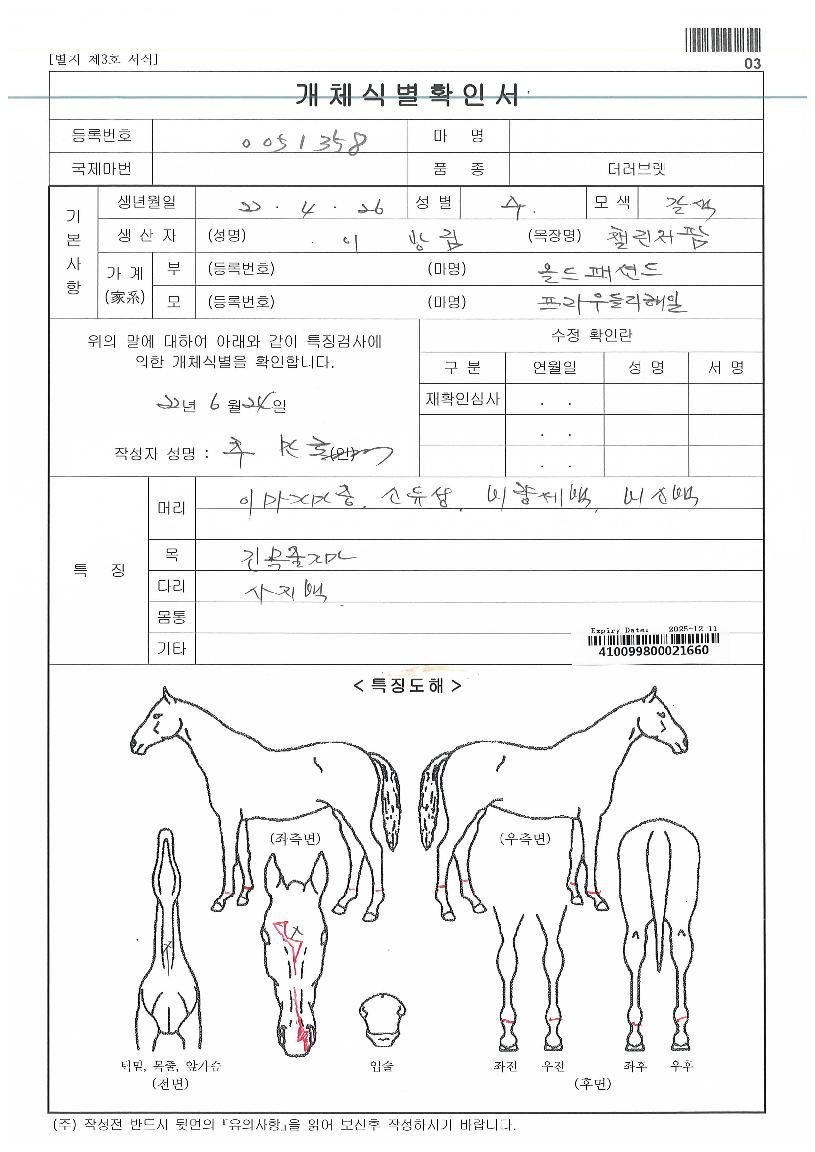 �����鸮�������ڸ��� ����,���,�޸�,�λ�,�ٸ��� Ư¡����