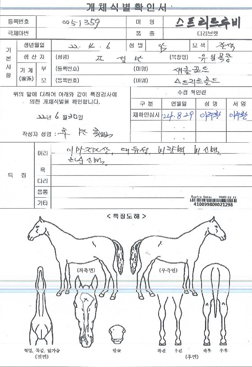 ��Ʈ��Ʈ����� ����,���,�޸�,�λ�,�ٸ��� Ư¡����