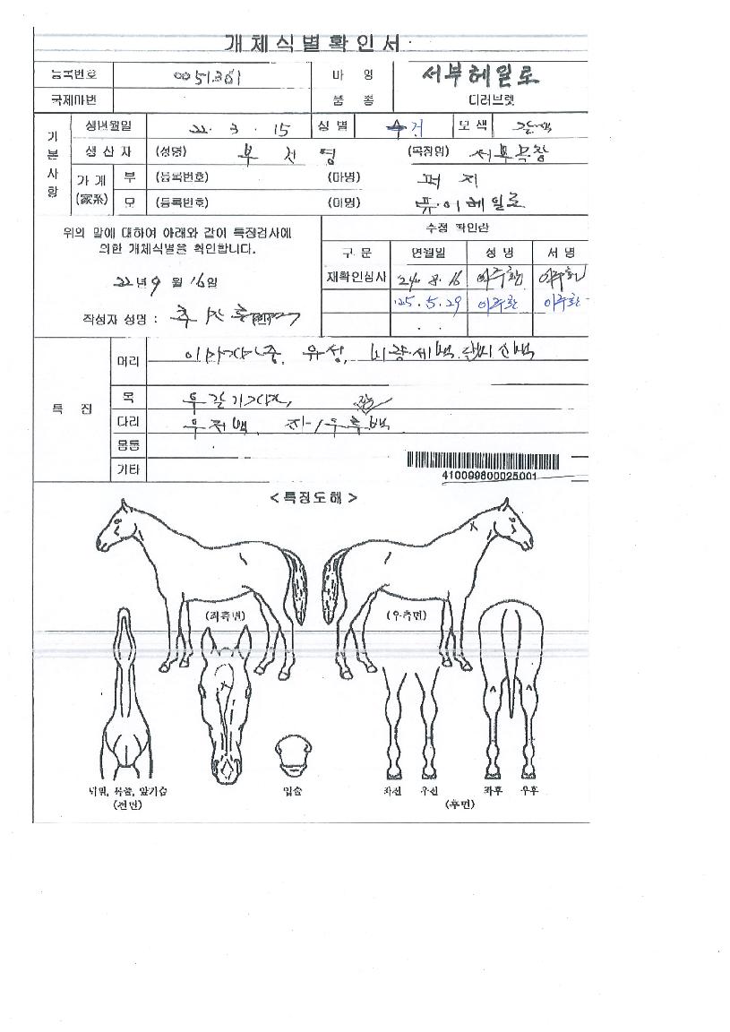 ¼ºÎÇìÀÏ·ÎÀÇ Ãø¸é,¿ì¸é,µÞ¸é,µÎ»ó,´Ù¸®ÀÇ Æ¯Â¡µµÇØ
