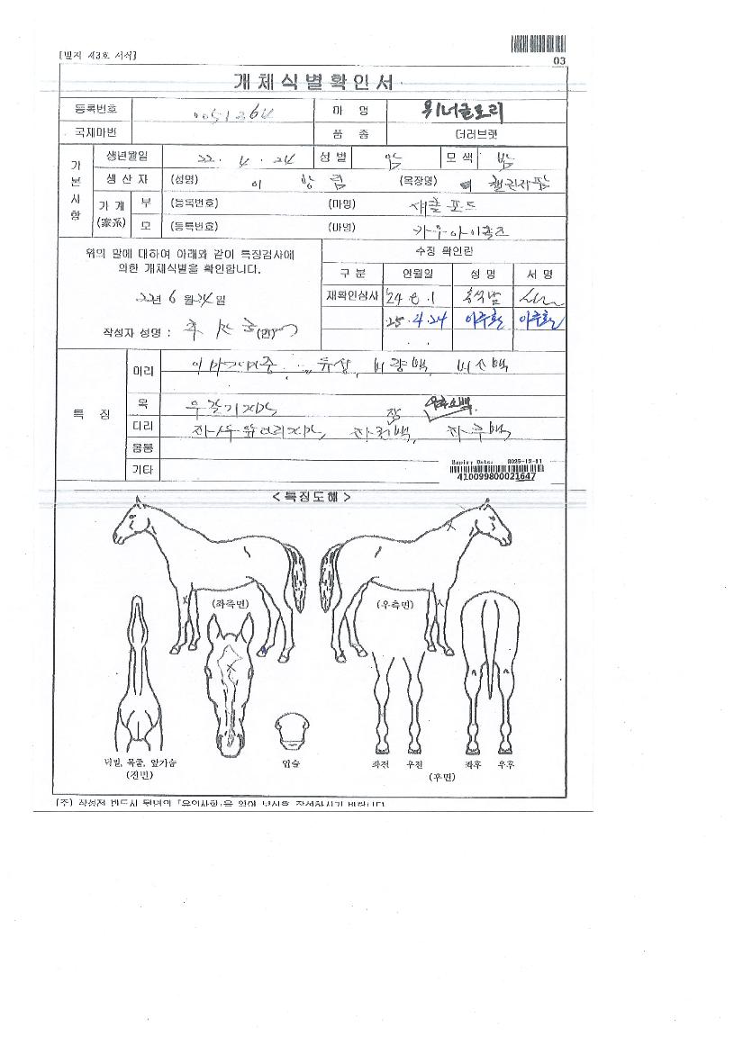 À§³Ê±Û·Î¸®ÀÇ Ãø¸é,¿ì¸é,µÞ¸é,µÎ»ó,´Ù¸®ÀÇ Æ¯Â¡µµÇØ