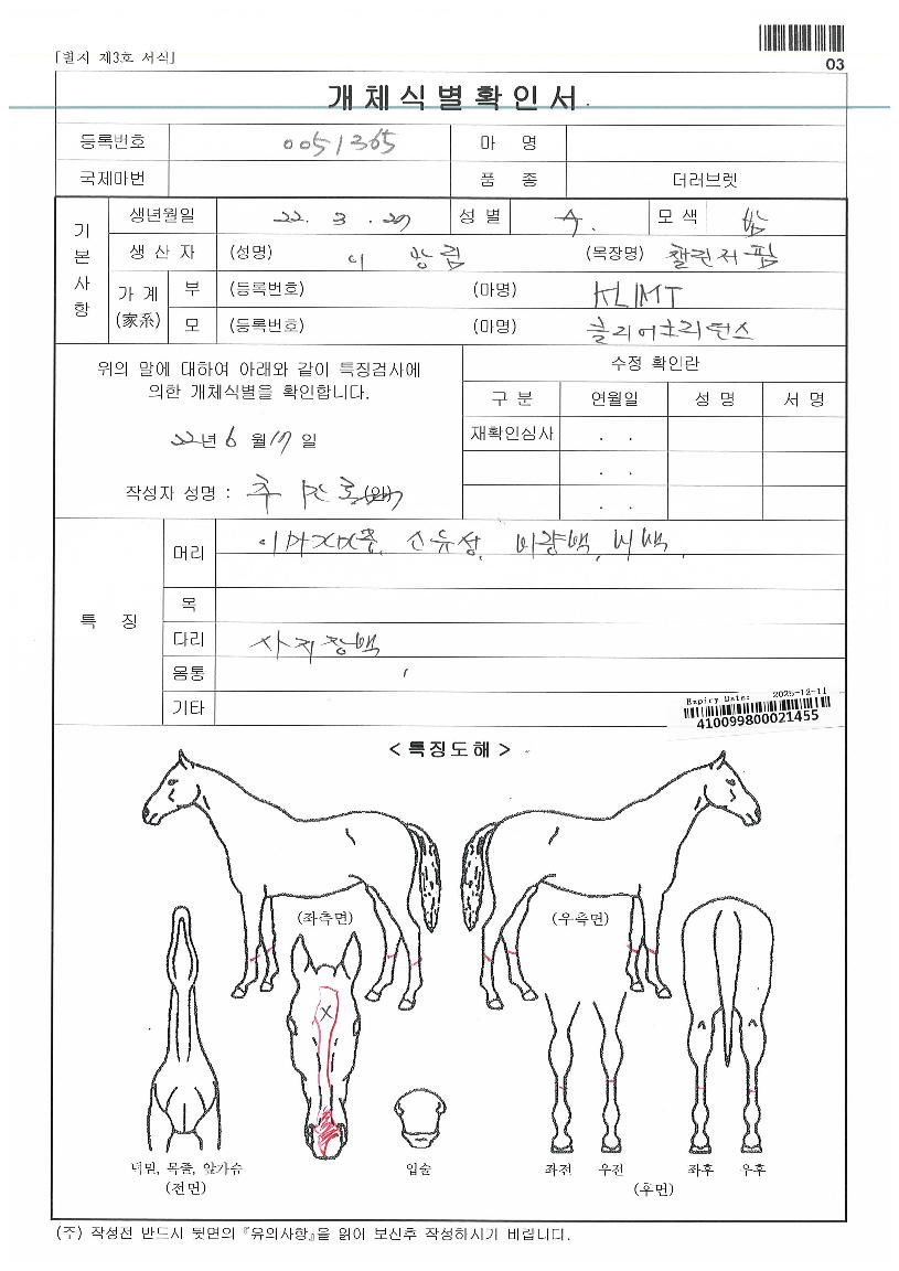 À§³ÊŬ¸®¾îÀÇ Ãø¸é,¿ì¸é,µÞ¸é,µÎ»ó,´Ù¸®ÀÇ Æ¯Â¡µµÇØ