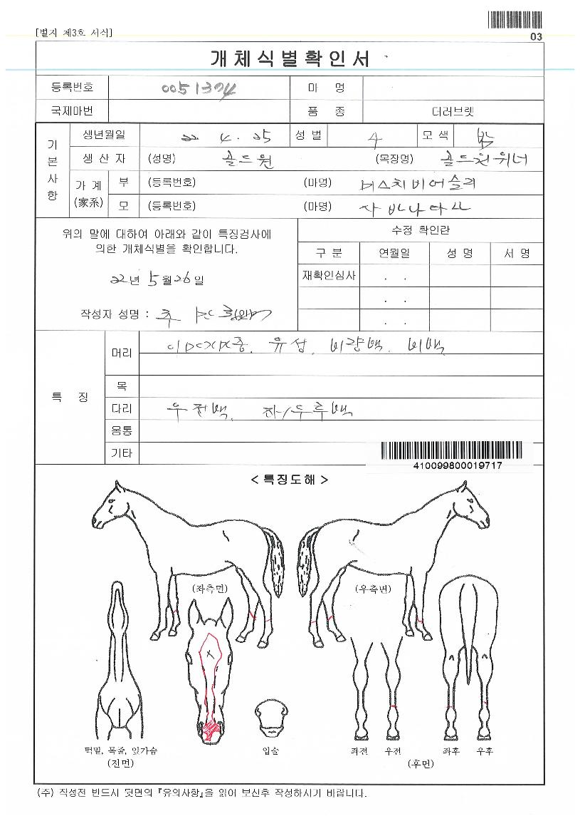 »ç¹Ù³ª´Ù³ªÀÚ¸¶ÀÇ Ãø¸é,¿ì¸é,µÞ¸é,µÎ»ó,´Ù¸®ÀÇ Æ¯Â¡µµÇØ