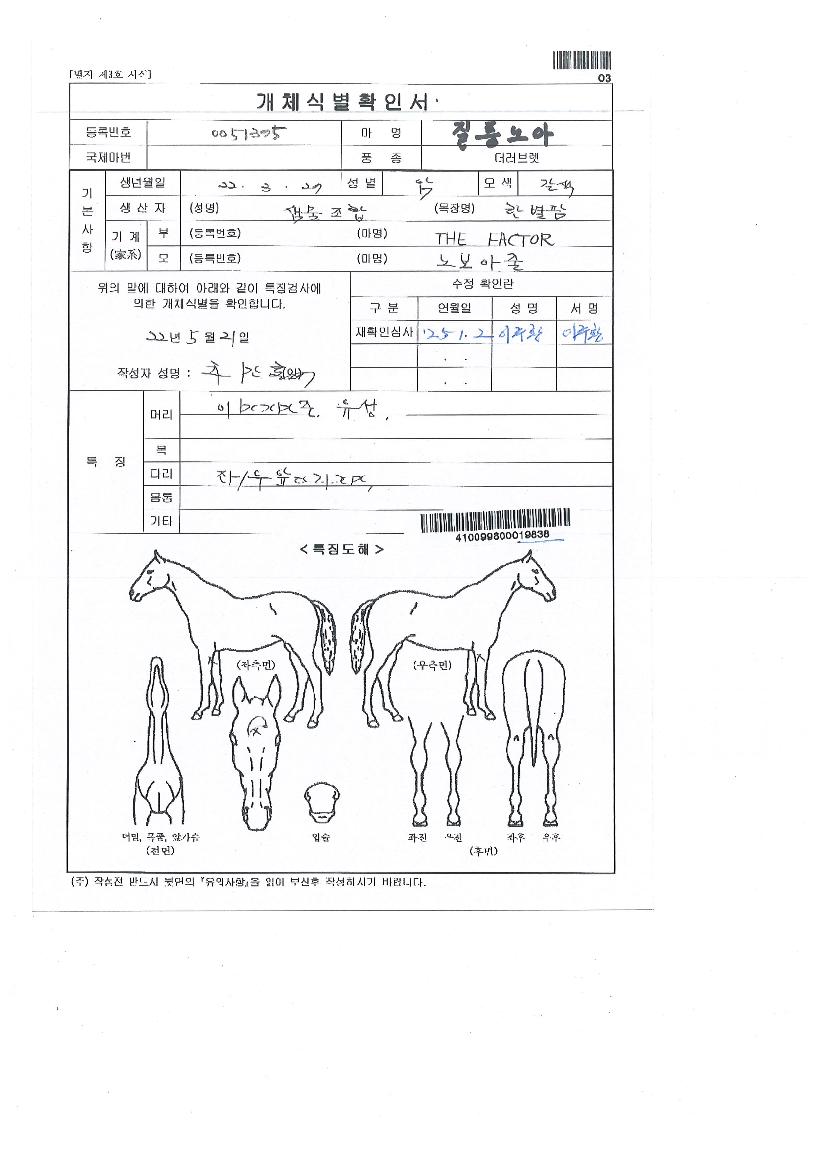 Áúdz³ë¾ÆÀÇ Ãø¸é,¿ì¸é,µÞ¸é,µÎ»ó,´Ù¸®ÀÇ Æ¯Â¡µµÇØ