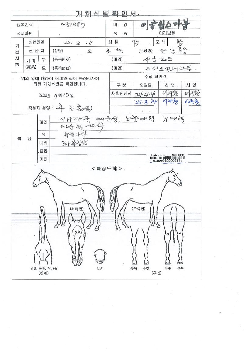 ÀÌŬ¸³½º¸¶ºíÀÇ Ãø¸é,¿ì¸é,µÞ¸é,µÎ»ó,´Ù¸®ÀÇ Æ¯Â¡µµÇØ