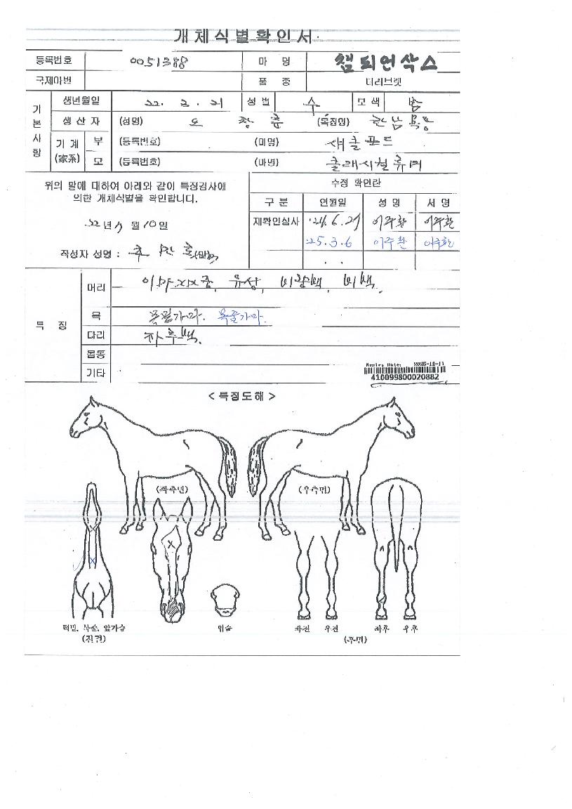 èÇǾð»è½ºÀÇ Ãø¸é,¿ì¸é,µÞ¸é,µÎ»ó,´Ù¸®ÀÇ Æ¯Â¡µµÇØ