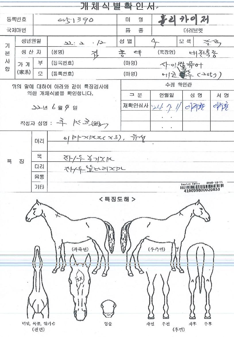 Ȧ��ī������ ����,���,�޸�,�λ�,�ٸ��� Ư¡����