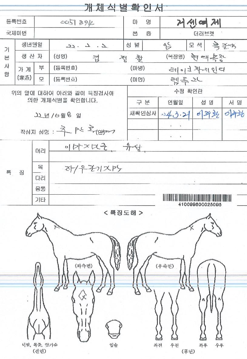 °Å¼¾¿©Á¦ÀÇ Ãø¸é,¿ì¸é,µÞ¸é,µÎ»ó,´Ù¸®ÀÇ Æ¯Â¡µµÇØ