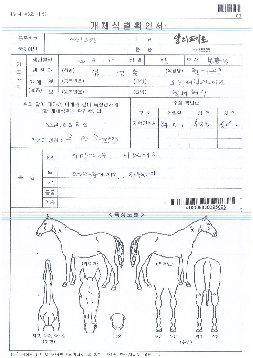 ¾Ë¸®Æä¸£ÀÇ Ãø¸é,¿ì¸é,µÞ¸é,µÎ»ó,´Ù¸®ÀÇ Æ¯Â¡µµÇØ