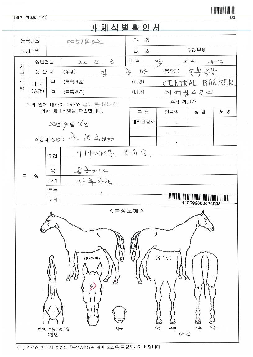 ³ªÀ̽º¹öµðÀÇ Ãø¸é,¿ì¸é,µÞ¸é,µÎ»ó,´Ù¸®ÀÇ Æ¯Â¡µµÇØ