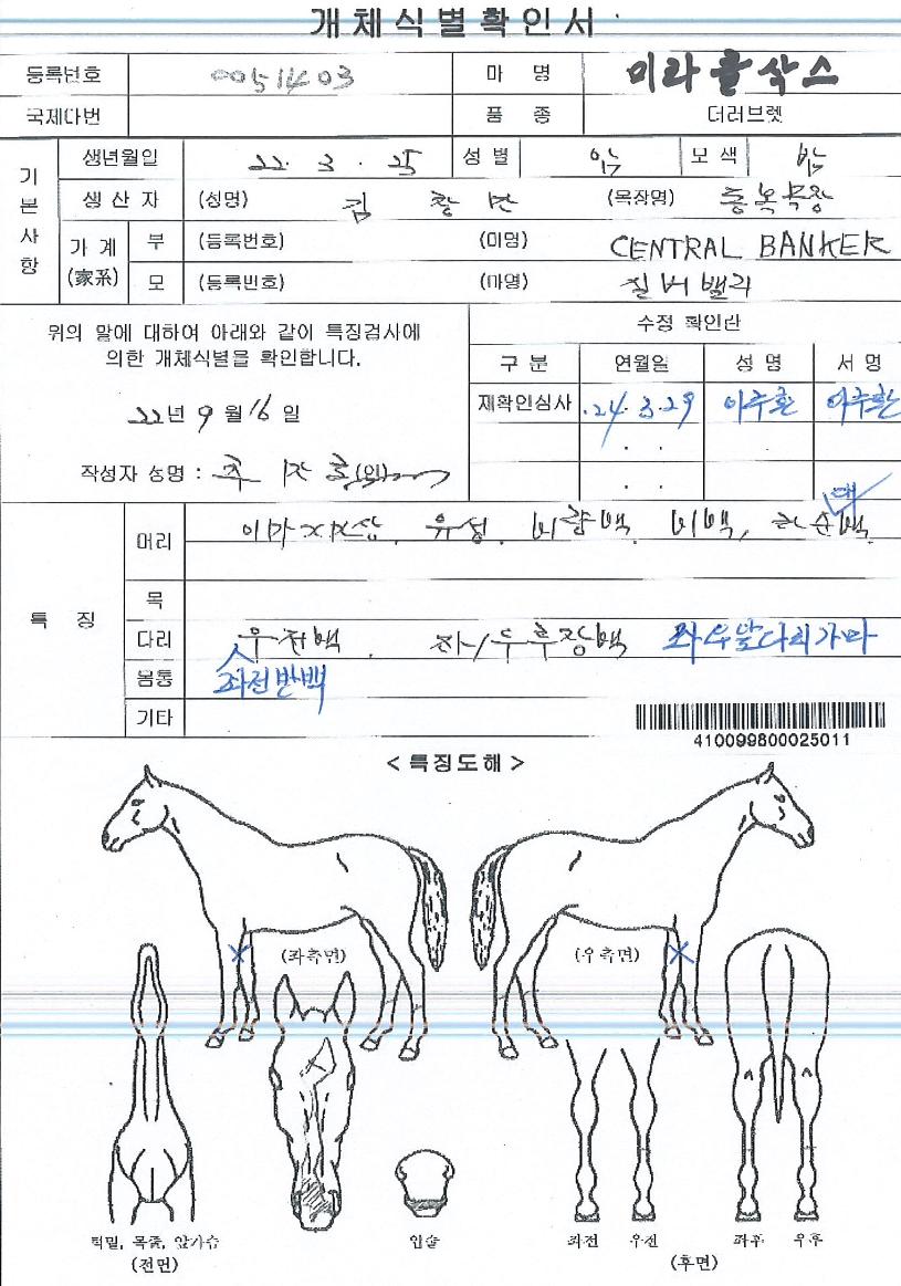 �̶�Ŭ�轺�� ����,���,�޸�,�λ�,�ٸ��� Ư¡����