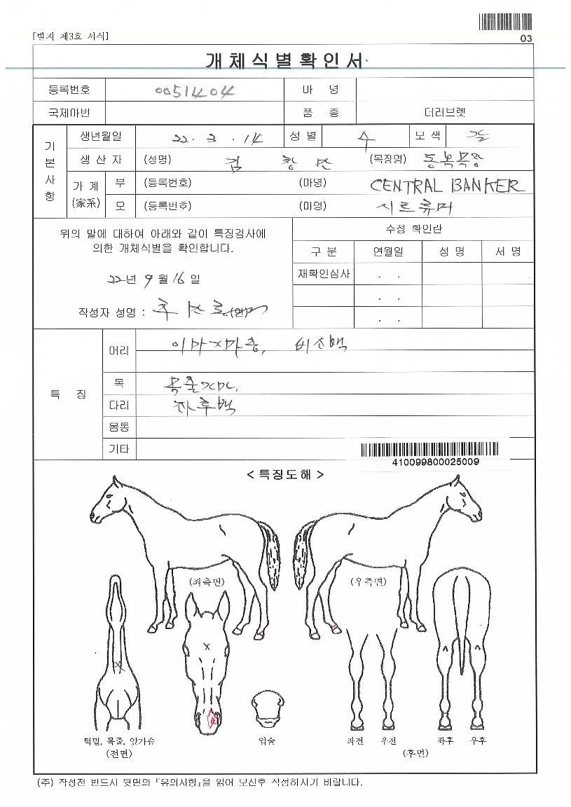 ½ÃÆ®ÈÞ¸ÓÀÚ¸¶ÀÇ Ãø¸é,¿ì¸é,µÞ¸é,µÎ»ó,´Ù¸®ÀÇ Æ¯Â¡µµÇØ