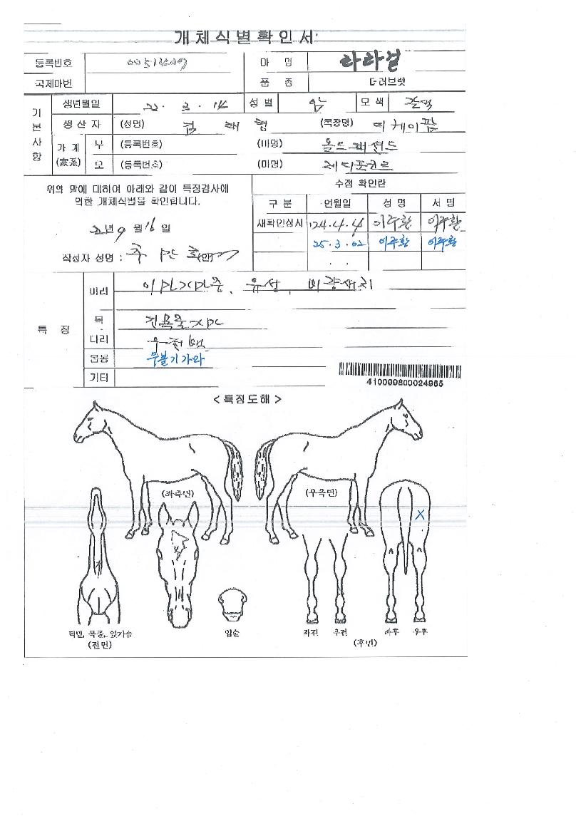 ¶ó¶ó°ÉÀÇ Ãø¸é,¿ì¸é,µÞ¸é,µÎ»ó,´Ù¸®ÀÇ Æ¯Â¡µµÇØ