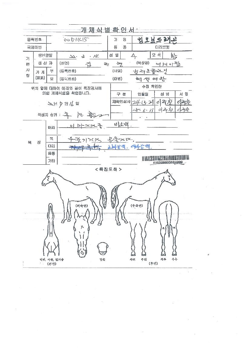 Å·¿Àºêµå·¡°ïÀÇ Ãø¸é,¿ì¸é,µÞ¸é,µÎ»ó,´Ù¸®ÀÇ Æ¯Â¡µµÇØ