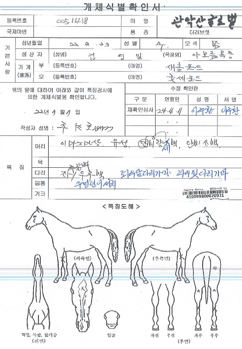 ���ǻ�۷ι��� ����,���,�޸�,�λ�,�ٸ��� Ư¡����