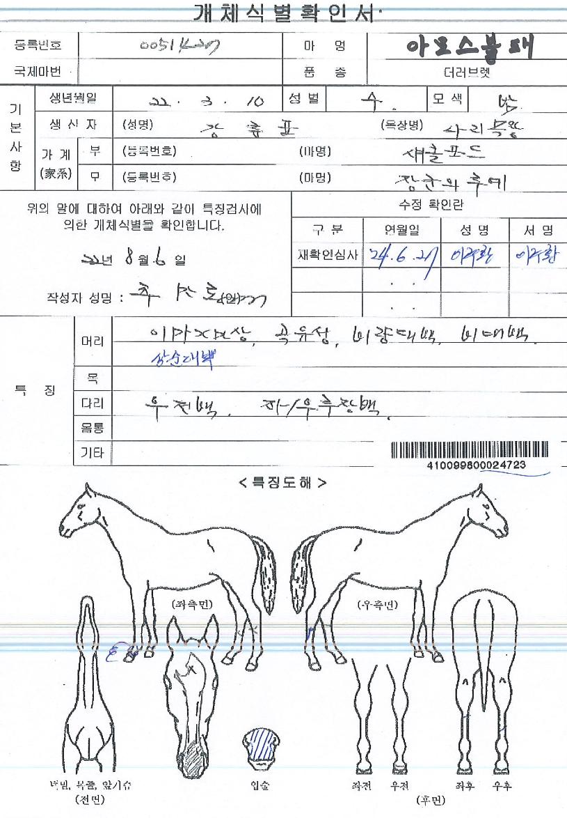 �Ƹ𽺺����� ����,���,�޸�,�λ�,�ٸ��� Ư¡����