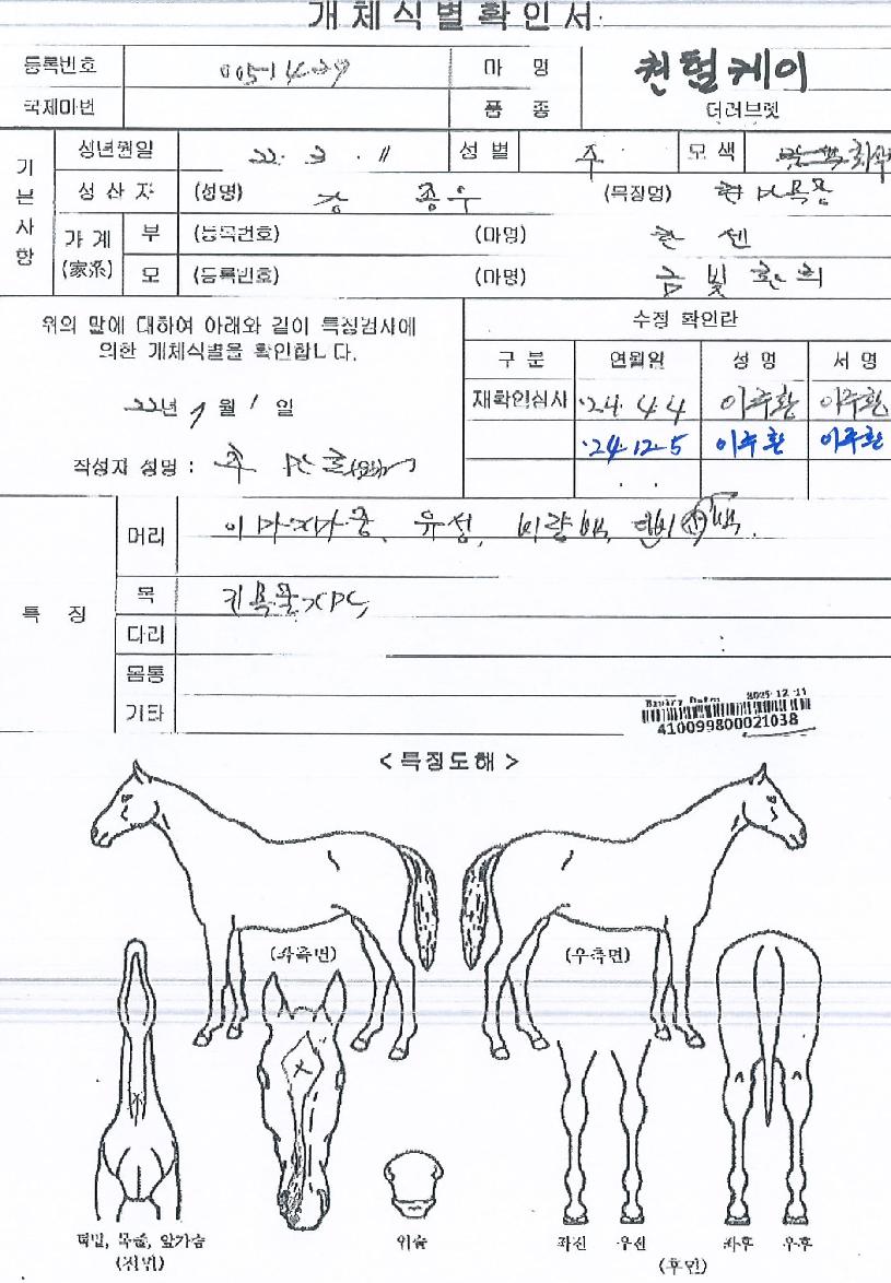 ÄöÅÒÄÉÀÌÀÇ Ãø¸é,¿ì¸é,µÞ¸é,µÎ»ó,´Ù¸®ÀÇ Æ¯Â¡µµÇØ