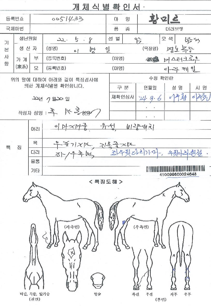 Ȳ�̸��� ����,���,�޸�,�λ�,�ٸ��� Ư¡����