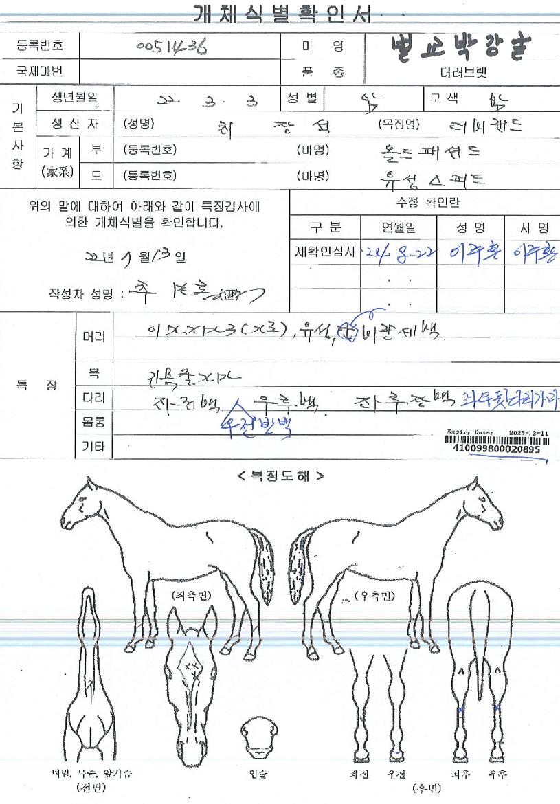 ¹ú±³¹Ú°±¼ÀÇ Ãø¸é,¿ì¸é,µÞ¸é,µÎ»ó,´Ù¸®ÀÇ Æ¯Â¡µµÇØ