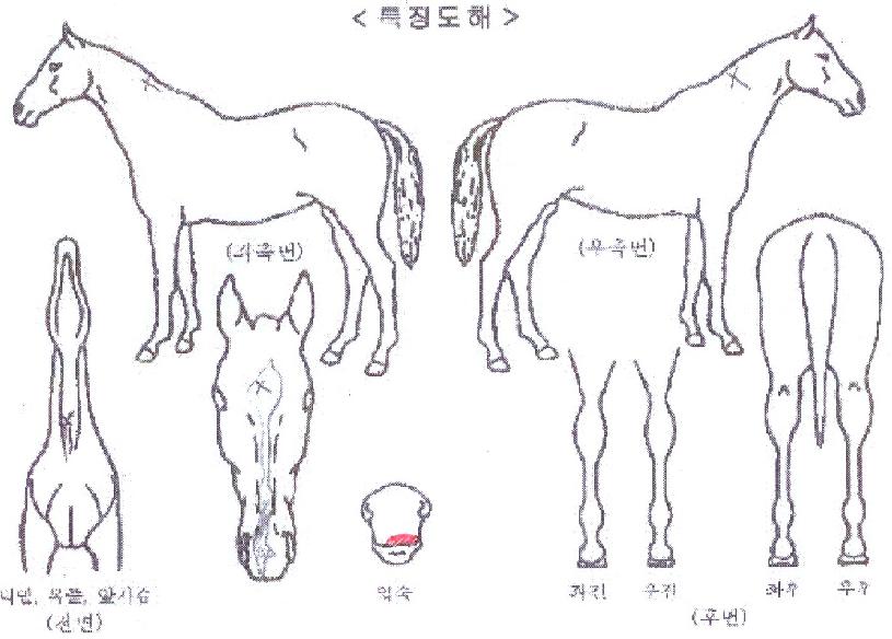 ƽý ,,޸,λ,ٸ Ư¡