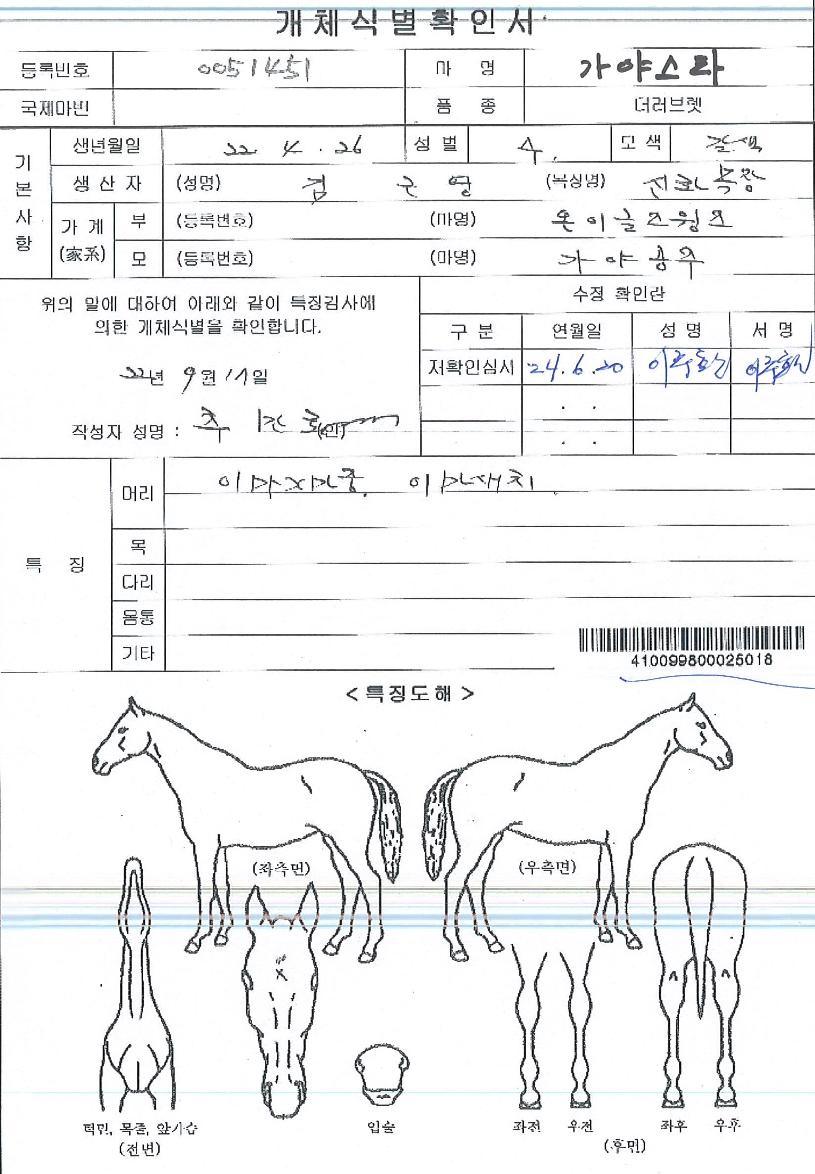 ���߽�Ÿ�� ����,���,�޸�,�λ�,�ٸ��� Ư¡����