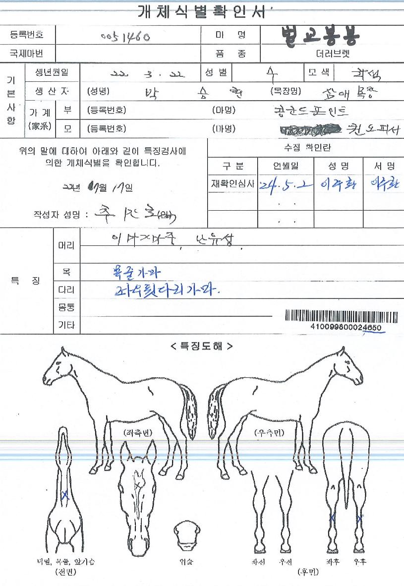 ¹ú±³ºÀºÀÀÇ Ãø¸é,¿ì¸é,µÞ¸é,µÎ»ó,´Ù¸®ÀÇ Æ¯Â¡µµÇØ