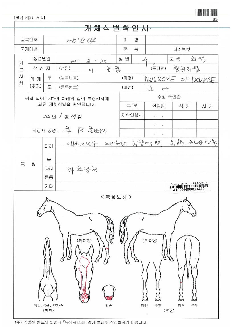 ½ºÅõÄ«ÀÇ Ãø¸é,¿ì¸é,µÞ¸é,µÎ»ó,´Ù¸®ÀÇ Æ¯Â¡µµÇØ