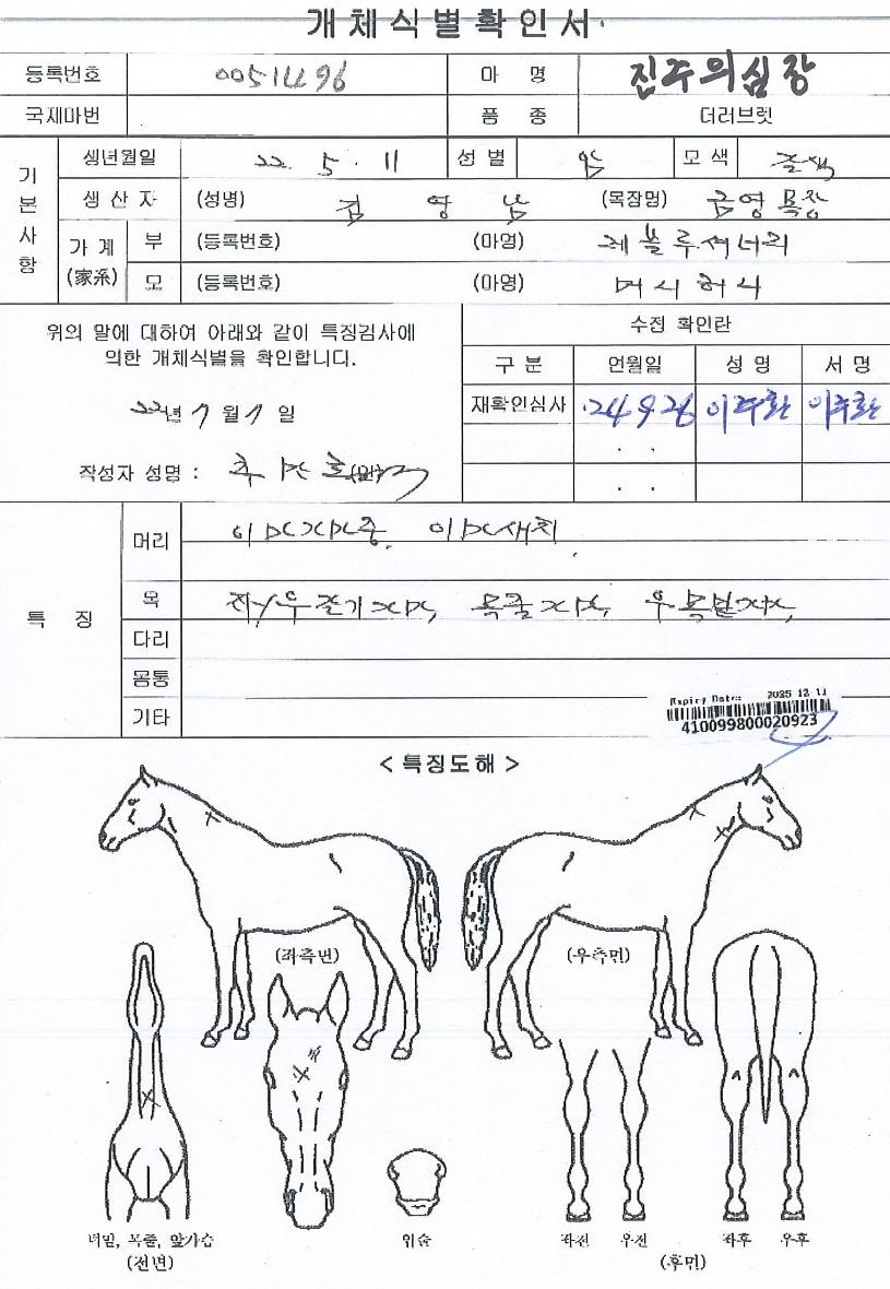 ÁøÁÖÀǽÉÀåÀÇ Ãø¸é,¿ì¸é,µÞ¸é,µÎ»ó,´Ù¸®ÀÇ Æ¯Â¡µµÇØ