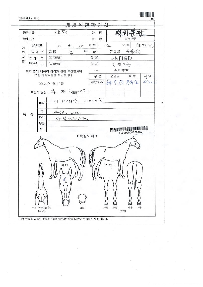 ·°Å°ºÐõÀÇ Ãø¸é,¿ì¸é,µÞ¸é,µÎ»ó,´Ù¸®ÀÇ Æ¯Â¡µµÇØ