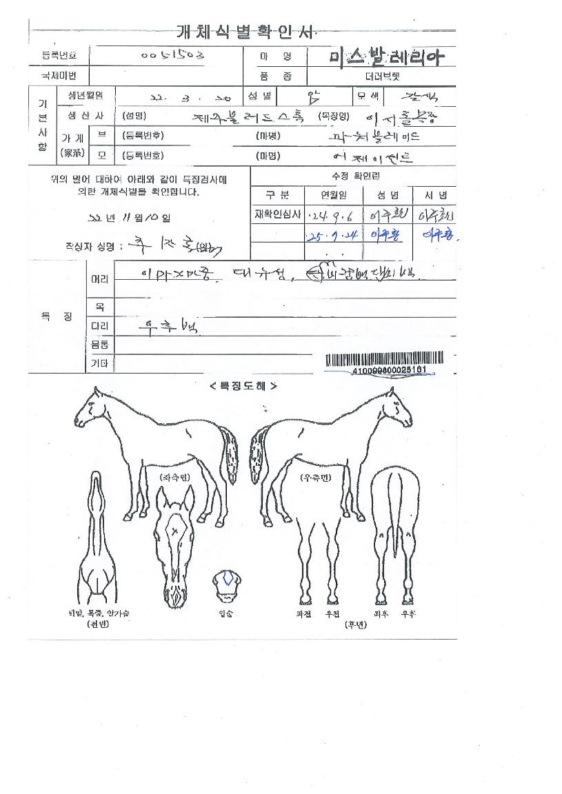 �̽��߷������� ����,���,�޸�,�λ�,�ٸ��� Ư¡����