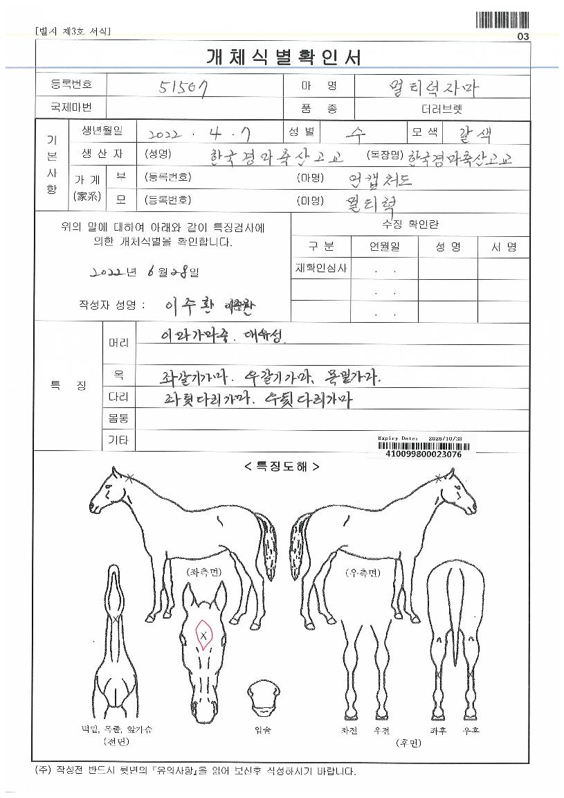 õǳ�� ����,���,�޸�,�λ�,�ٸ��� Ư¡����