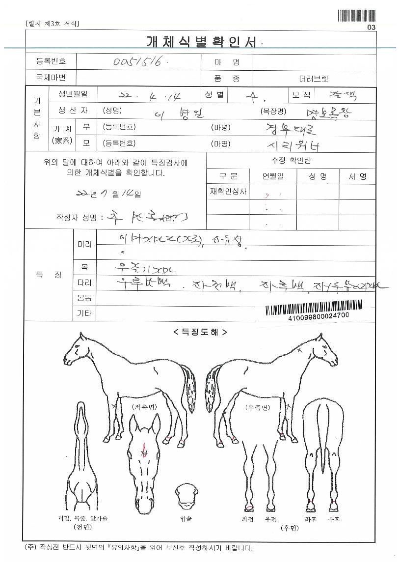 ºÒÀǽÅÀüÀÇ Ãø¸é,¿ì¸é,µÞ¸é,µÎ»ó,´Ù¸®ÀÇ Æ¯Â¡µµÇØ