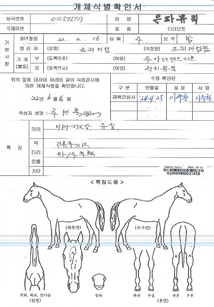 ÀºÆÄ¹ÂÁ÷ÀÇ Ãø¸é,¿ì¸é,µÞ¸é,µÎ»ó,´Ù¸®ÀÇ Æ¯Â¡µµÇØ