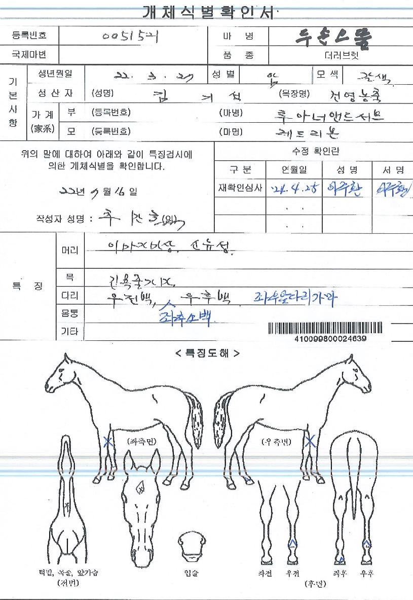 µÎ¼ÕÀ¸¶äÀÇ Ãø¸é,¿ì¸é,µÞ¸é,µÎ»ó,´Ù¸®ÀÇ Æ¯Â¡µµÇØ