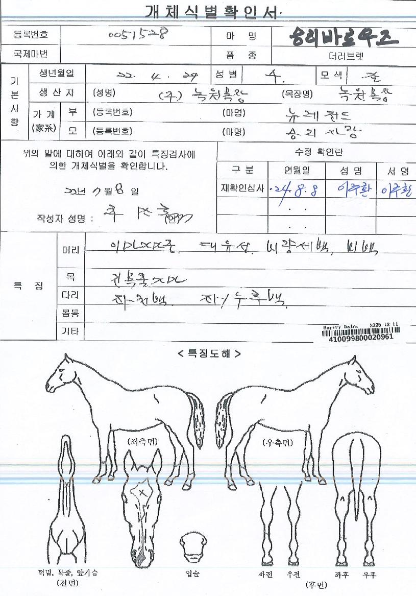 ½Â¸®¹Ù·Î¿ìÁîÀÇ Ãø¸é,¿ì¸é,µÞ¸é,µÎ»ó,´Ù¸®ÀÇ Æ¯Â¡µµÇØ