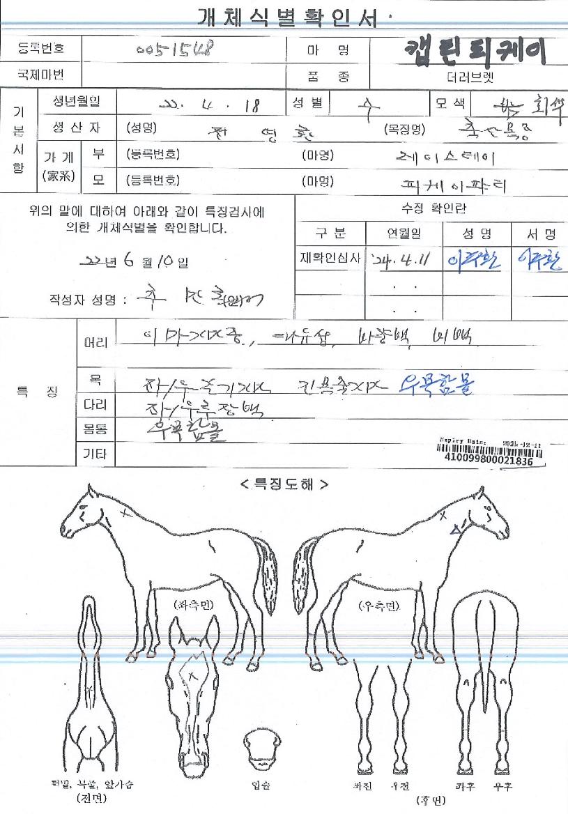 ĸƾ�������� ����,���,�޸�,�λ�,�ٸ��� Ư¡����