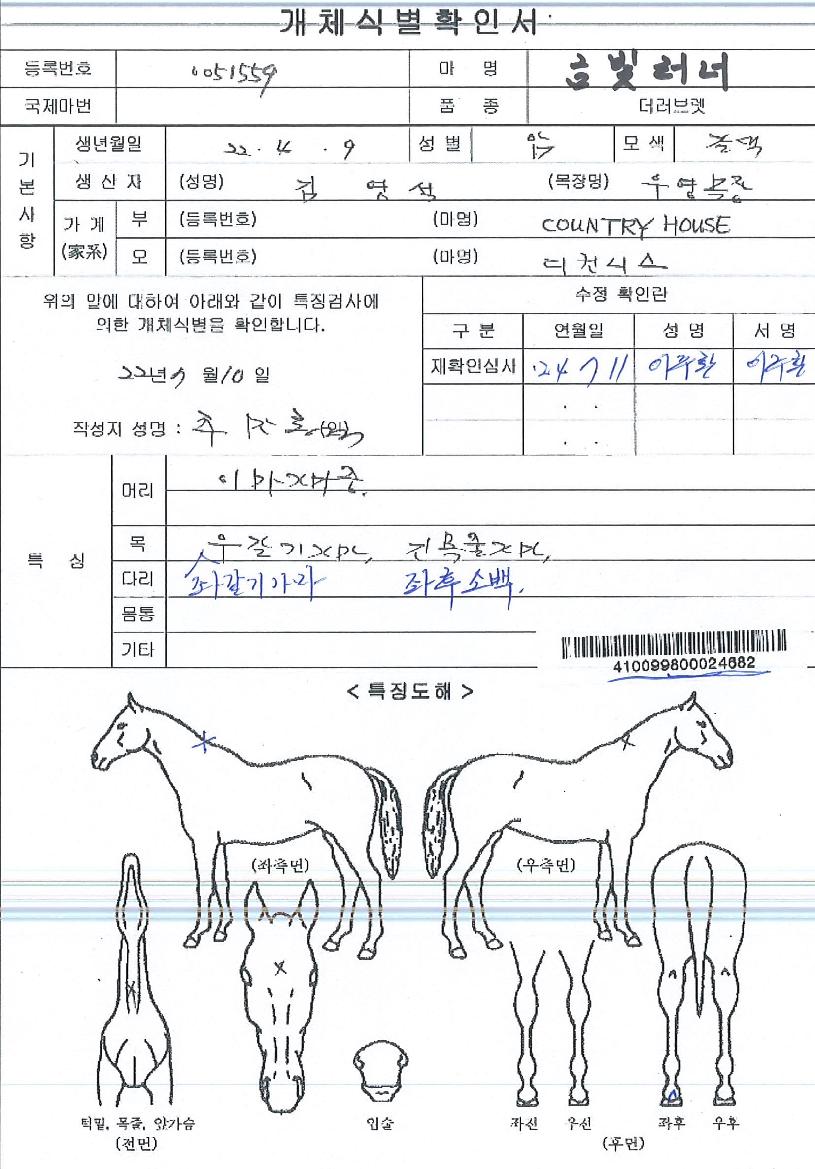 ±Ýºû·¯³ÊÀÇ Ãø¸é,¿ì¸é,µÞ¸é,µÎ»ó,´Ù¸®ÀÇ Æ¯Â¡µµÇØ