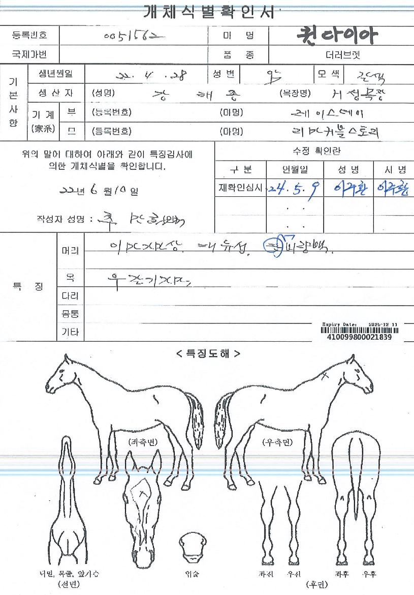 Äý´ÙÀ̾ÆÀÇ Ãø¸é,¿ì¸é,µÞ¸é,µÎ»ó,´Ù¸®ÀÇ Æ¯Â¡µµÇØ