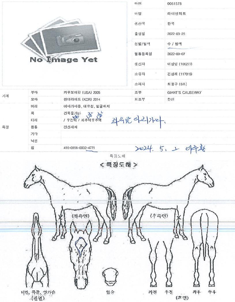 ¶óÀ̾ðÇÏÆ®ÀÇ Ãø¸é,¿ì¸é,µÞ¸é,µÎ»ó,´Ù¸®ÀÇ Æ¯Â¡µµÇØ