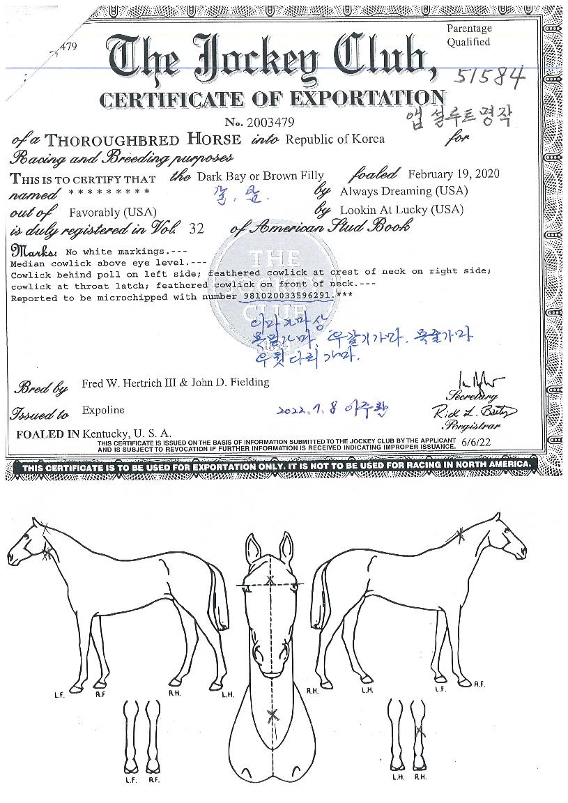 ¾Û¼³·çÆ®¸íÀÛÀÇ Ãø¸é,¿ì¸é,µÞ¸é,µÎ»ó,´Ù¸®ÀÇ Æ¯Â¡µµÇØ