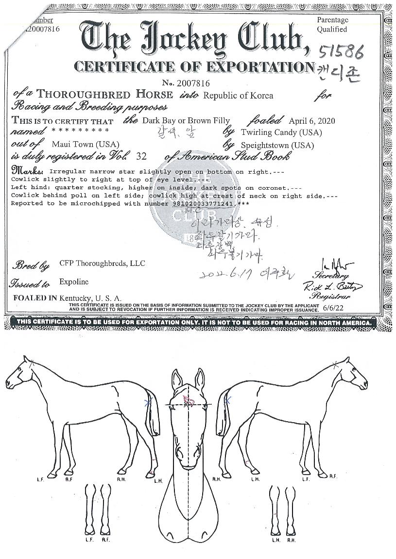 ĵ������ ����,���,�޸�,�λ�,�ٸ��� Ư¡����